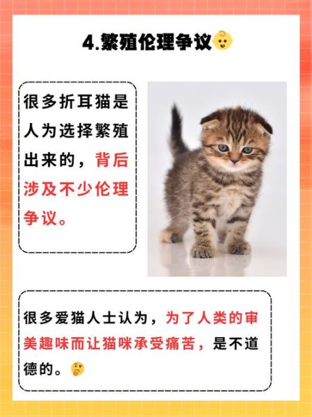 猫咪为什么突然不理人_如何挽回猫咪的信任