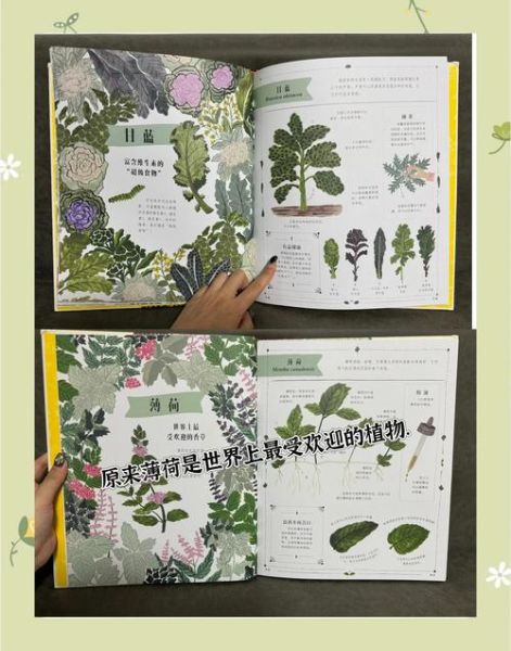 植物百科适合孩子读吗_怎么读最有效