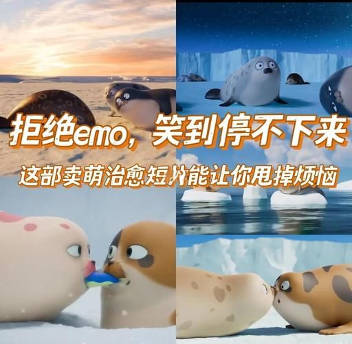 海豹怎么表达情感_海豹情感表达视频怎么看