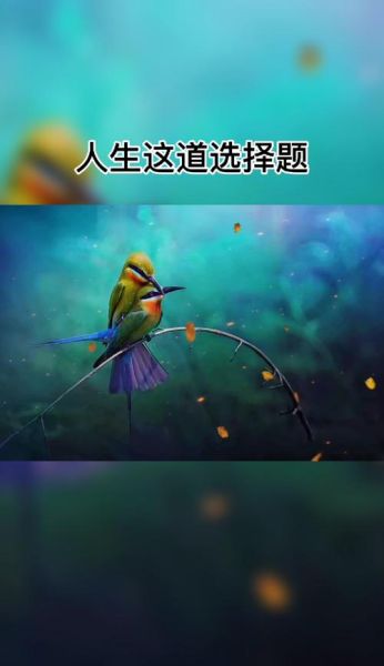 围墙情感表达_如何走出围墙心理