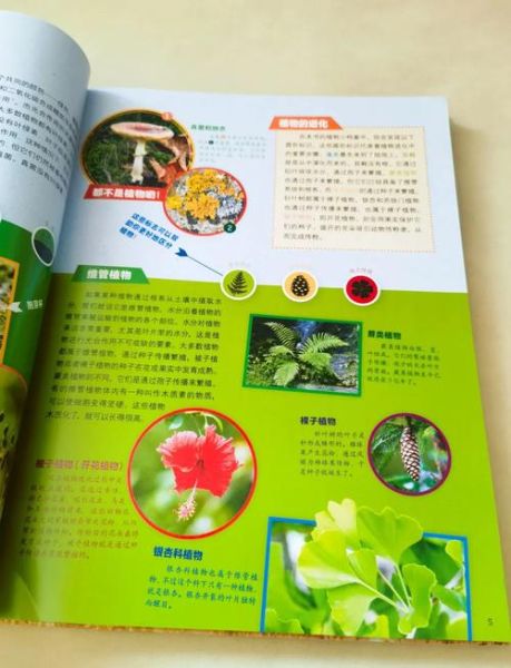 植物百科全书适合几岁孩子_如何挑选植物百科