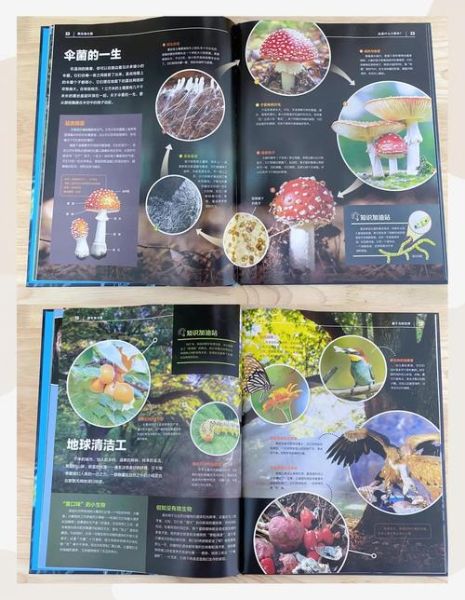 科普百科必读书目有哪些_如何挑选科普经典