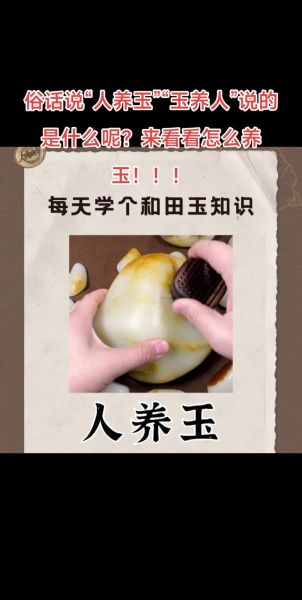 玉玉读书智慧百科是什么_怎么高效使用