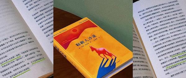 荒漠情感表达_如何写出孤独感