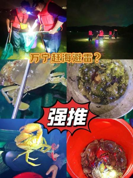 赶海为什么让人快乐_赶海表达了什么情感