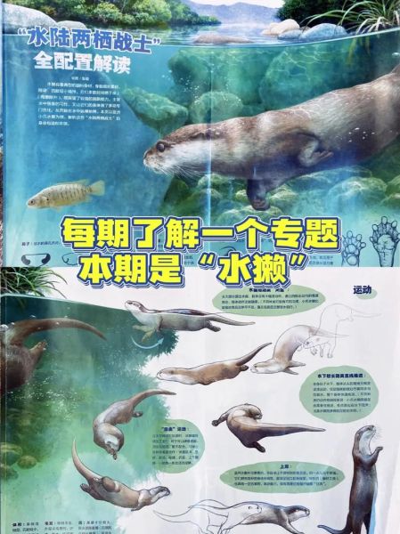 博物大百科适合几岁孩子_如何高效阅读博物大百科