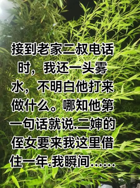 叔侄情感表达_如何写出真实感