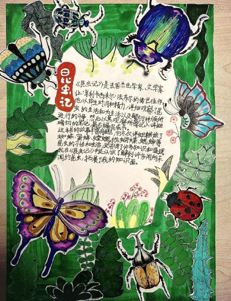 昆虫百科全书适合几岁孩子阅读_如何制作昆虫读书卡