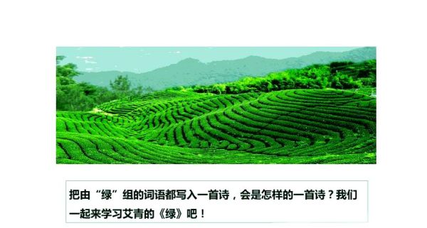 绿色情感表达有哪些方式_如何培养绿色情感