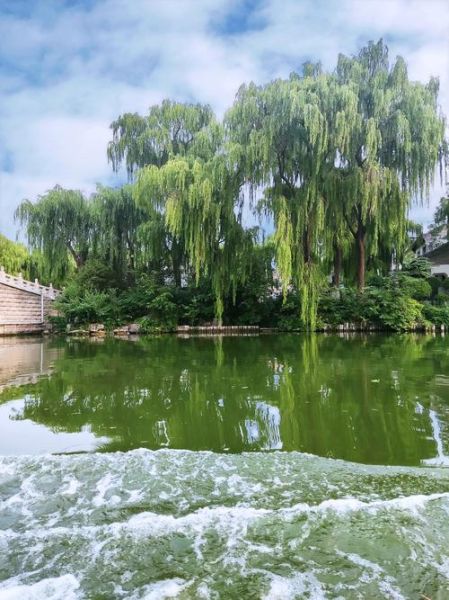 绿色情感表达有哪些方式_如何培养绿色情感