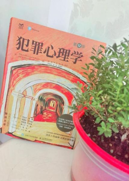 犯罪心理学在中国_犯罪心理画像真的有用吗