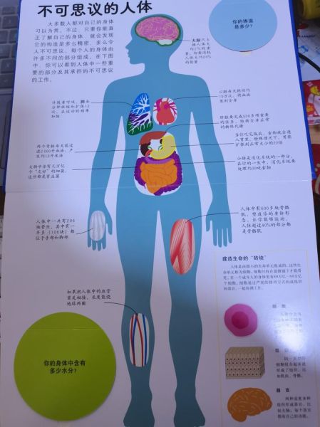 人体百科读后感_如何理解身体奥秘