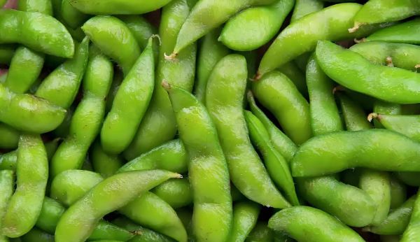 毛豆情感表达_如何正确说出口