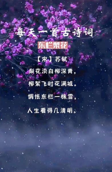 东栏梨花表达了什么情感_为何让人怅惘
