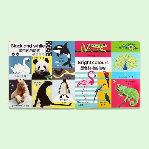 小彼恩点读书dj博物大百科适合几岁_如何选版本