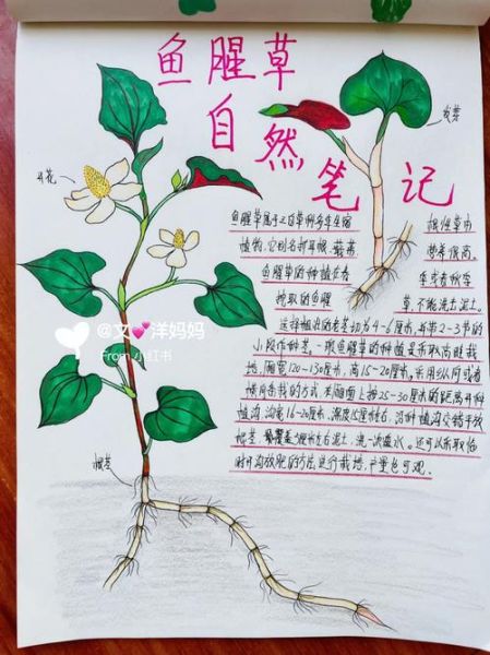 什么是自然笔记_如何写自然百科读书笔记