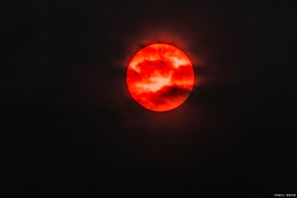 月亮代表什么情感_为什么月亮让人想哭