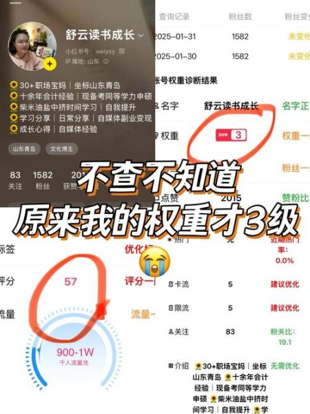 如何快速提升网站权重_网站权重下降怎么办