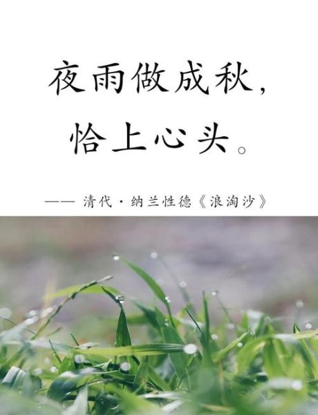 秋雨为什么让人伤感_秋雨表达什么情感