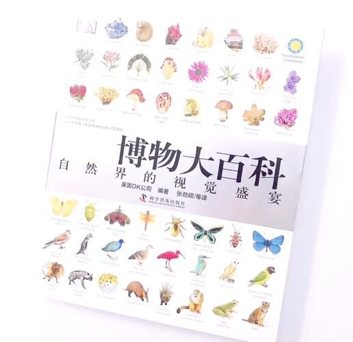 dk博物大百科适合几岁孩子_读书小报怎么做