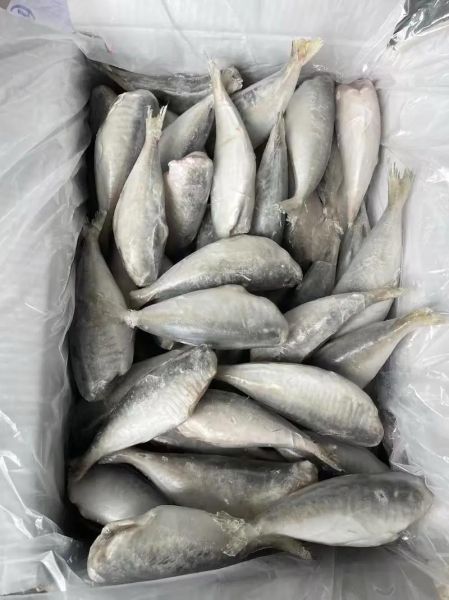 池鱼表达什么情感_池鱼意象的深层含义