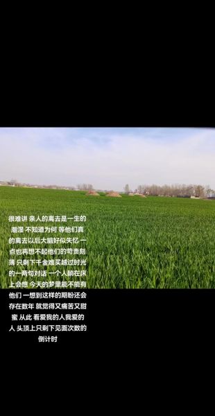 中国人为什么含蓄_外国人如何直接表达爱意