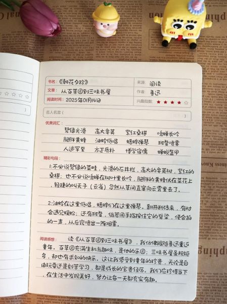 百科全书读书笔记怎么写_百科全书读书笔记格式