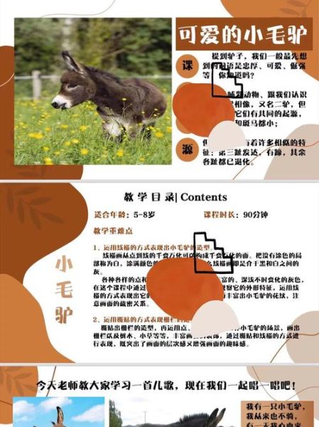 毛驴为什么叫_毛驴怎么表达情感