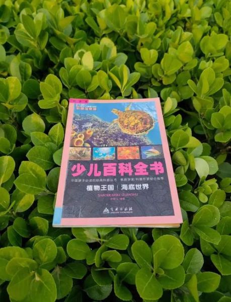 小学生百科知识有哪些_如何高效阅读百科书