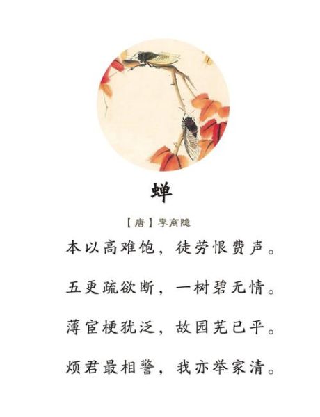 蝉为什么一直叫_蝉鸣代表什么情感