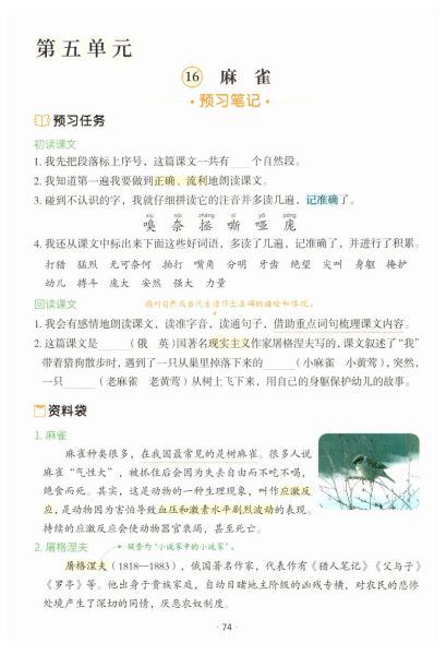 麻雀表达了什么情感_如何理解