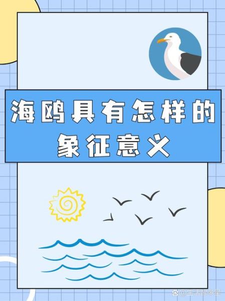 海鸥情感表达_海鸥叫声代表什么