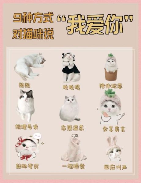 猫咪怎么表达情感_猫咪爱你的表现有哪些