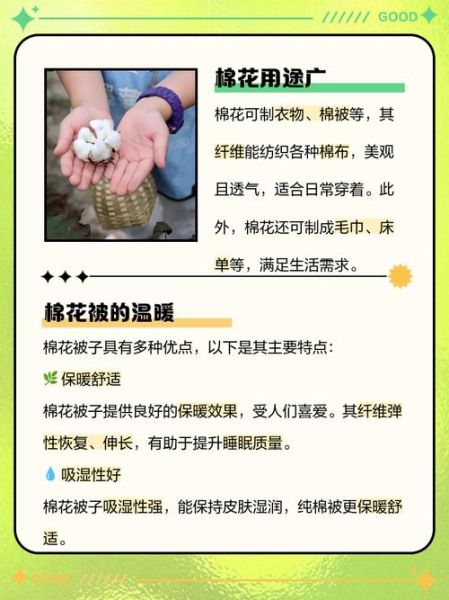 棉花代表什么情感_如何用棉花表达爱意