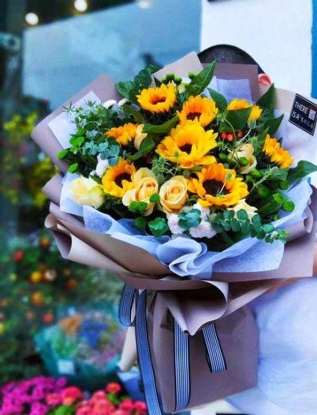 太阳花代表什么情感_太阳花送什么人合适