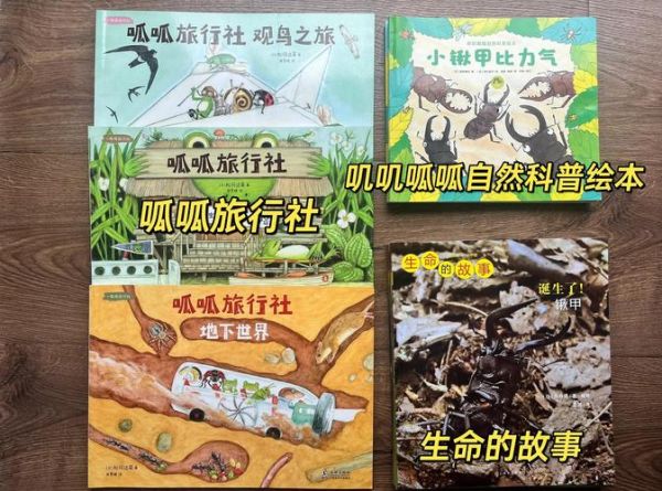 昆虫百科全书适合几岁阅读_如何挑选昆虫百科全书
