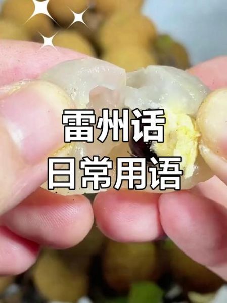 雷歌情感表达_雷州方言情歌怎么唱才动人