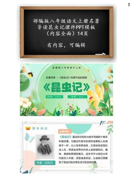 昆虫百科读书分享ppt怎么做_昆虫知识如何转化为演讲稿