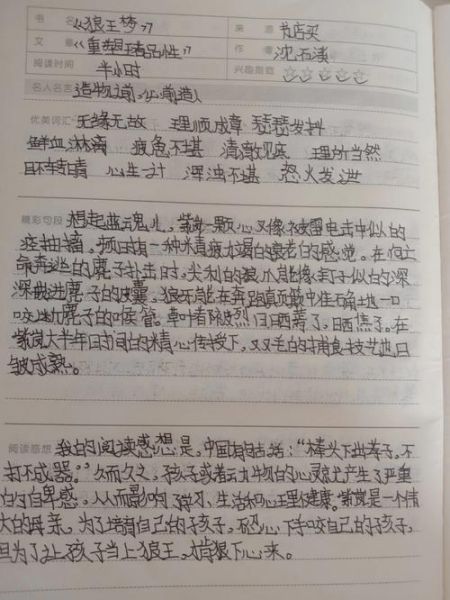 狼王梦读书笔记_狼王梦讲了什么故事