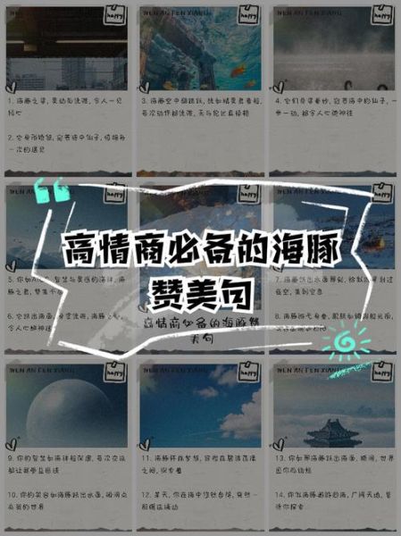 海豚花园如何表达情感_海豚花园治愈文案怎么写