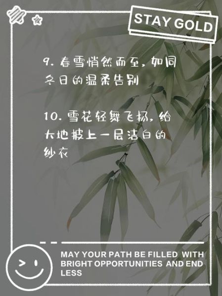 春雪的情感寓意是什么_春雪象征什么情感