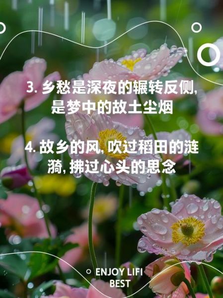 老乡歌曲表达什么情感_如何听懂乡愁