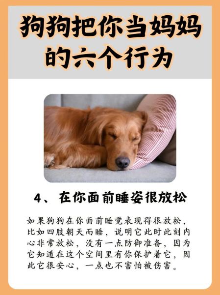 动物为什么会表达情感_动物情感表达的原因