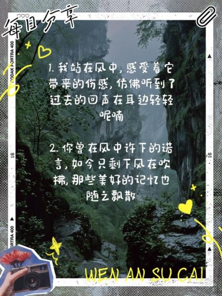 风表达了什么情感_风如何传递情绪