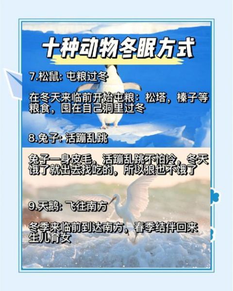 动物为什么冬眠_冬眠动物有哪些